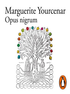 cover image of Opus nigrum